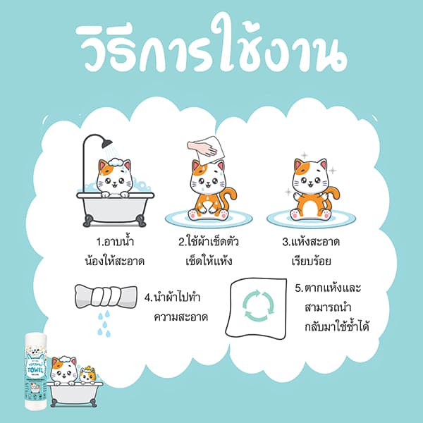 ดูแลความสะอาดแมวก่อนพักผ่อน